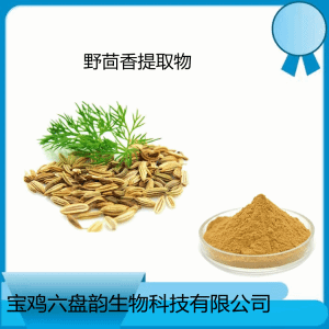 野茴香提取物  10:1规格可定制  喷雾干燥工艺