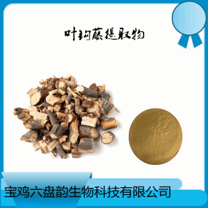 叶钩藤提取物  水提 精细粉末
