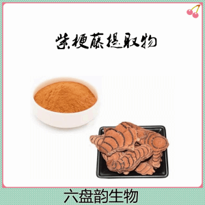 紫梗藤提取物 10:1提取  粉末细腻