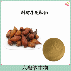 刺榆子提取物  六盘韵生物提取 精细粉末