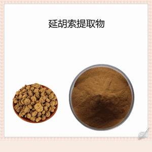 延胡索提取物  10:1规格 可定制  可试样