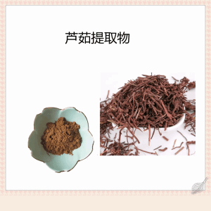 芦茹提取物 水溶原料 喷雾干燥工艺