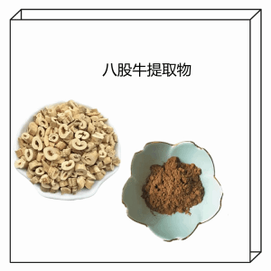 八股牛提取物  10;1规格  可定制