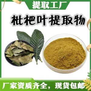 枇杷叶提取物 棕黄精细粉末 枇杷叶粉 新食品原料