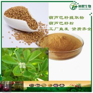 葫芦巴提取物 葫芦巴籽提取物 葫芦巴皂甙  4-羟基-L- 水溶葫芦巴籽粉 现货
