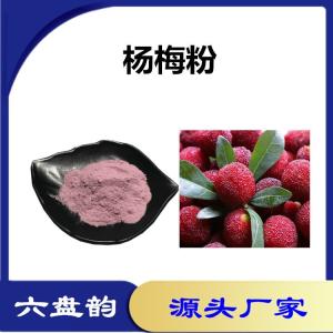 杨梅果汁粉 杨梅果粉 水果粉 水溶性好无沉淀