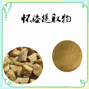 铁牛膝 怀牛膝提取物 纯植物提取比例浓缩粉