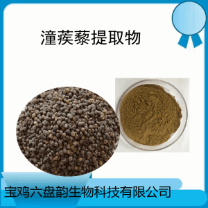 沙苑蒺藜 沙苑子提取物10:1比例提取 沙苑子粉