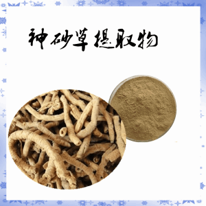 神砂草 远志提取物  全溶粉 纯粉现货