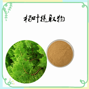 柏叶 侧柏叶提取物  10:1  柏叶粉 纯度高