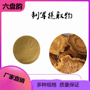 制军 制大黄提取物 喷雾干燥制大黄粉