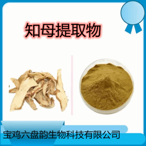 羊胡子根 知母提取物 喷雾干燥粉