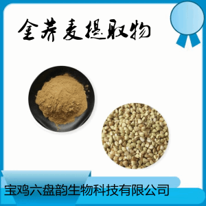 野荞麦 金荞麦提取物