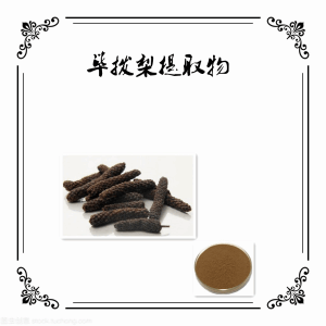 荜拨梨  荜拨提取物不同规格 比列浓缩粉