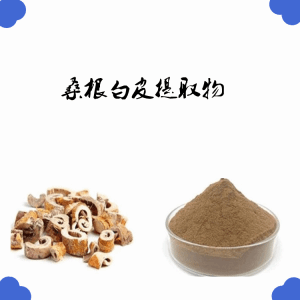 桑根白皮 桑白皮提取物 水溶性桑白皮粉