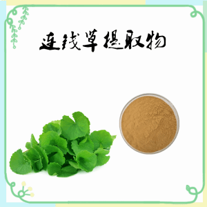 连钱草 积雪草提取物10:1多规格提取积雪草粉