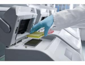 Eppendorf PCR循环仪MC nexus