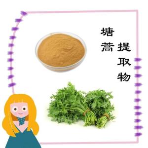 塘蒿提取物   量大从优 浸膏粉 高比例萃取