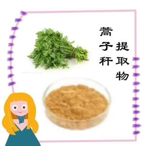 蒿子秆提取物  源头供应果蔬粉 水溶性蒿子秆速溶粉