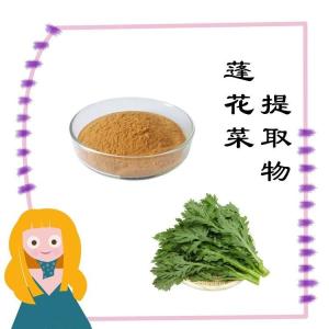 蓬花菜提取物 水溶 可定制