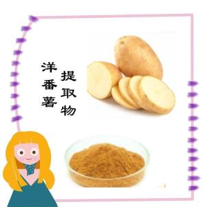 洋番薯提取物 粉末细腻 水溶性好 品质稳定 规格齐全
