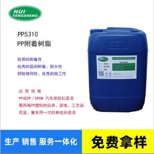 PP5310 氯化聚烯烴改性丙烯酸 一次性免處理PP樹脂 增進(jìn)劑