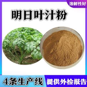 明日叶汁粉 明日叶提取物  新食品原料