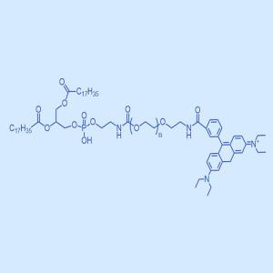 DSPE-PEG-Rhodamine 磷脂 聚乙二醇 罗丹明