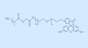 荧光素-聚乙二醇-聚（D,L-丙交酯-co-乙交酯）PLGA-PEG-FITC