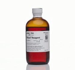 Invitrogen TRIzol Reagent RNA 提取試劑 15596018  200ml