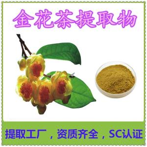 金花茶提取物 三方外检报告 金花茶粉 SC认证