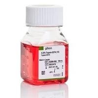 Thermo*Gibco 15050065 胰蛋白酶 (0.25%) 酚紅