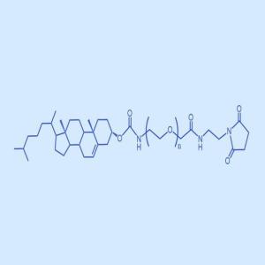 CLS-PEG-MAL 胆固醇聚乙二醇马来酰亚胺