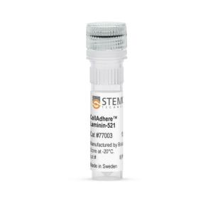 STEMCELL 7700 Iscoves MDM+2%FBS,100mL培養(yǎng)基 廣州