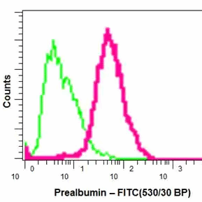 abcam ab75815 重组Anti-Prealbumin抗体[EP2929Y] 