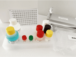 产气荚膜梭菌α毒素ELISA检测试剂盒