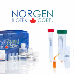 Norgen Saliva DNA Colliection and Preservation Device唾液收集保存管